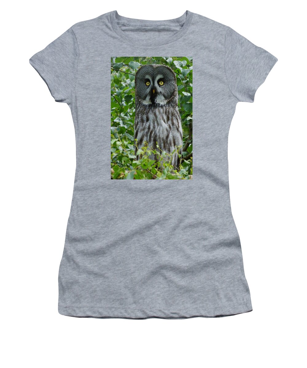 Great Grey Owl Women's T-Shirt featuring the photograph Great Grey Owl - Surprised by Phil Banks