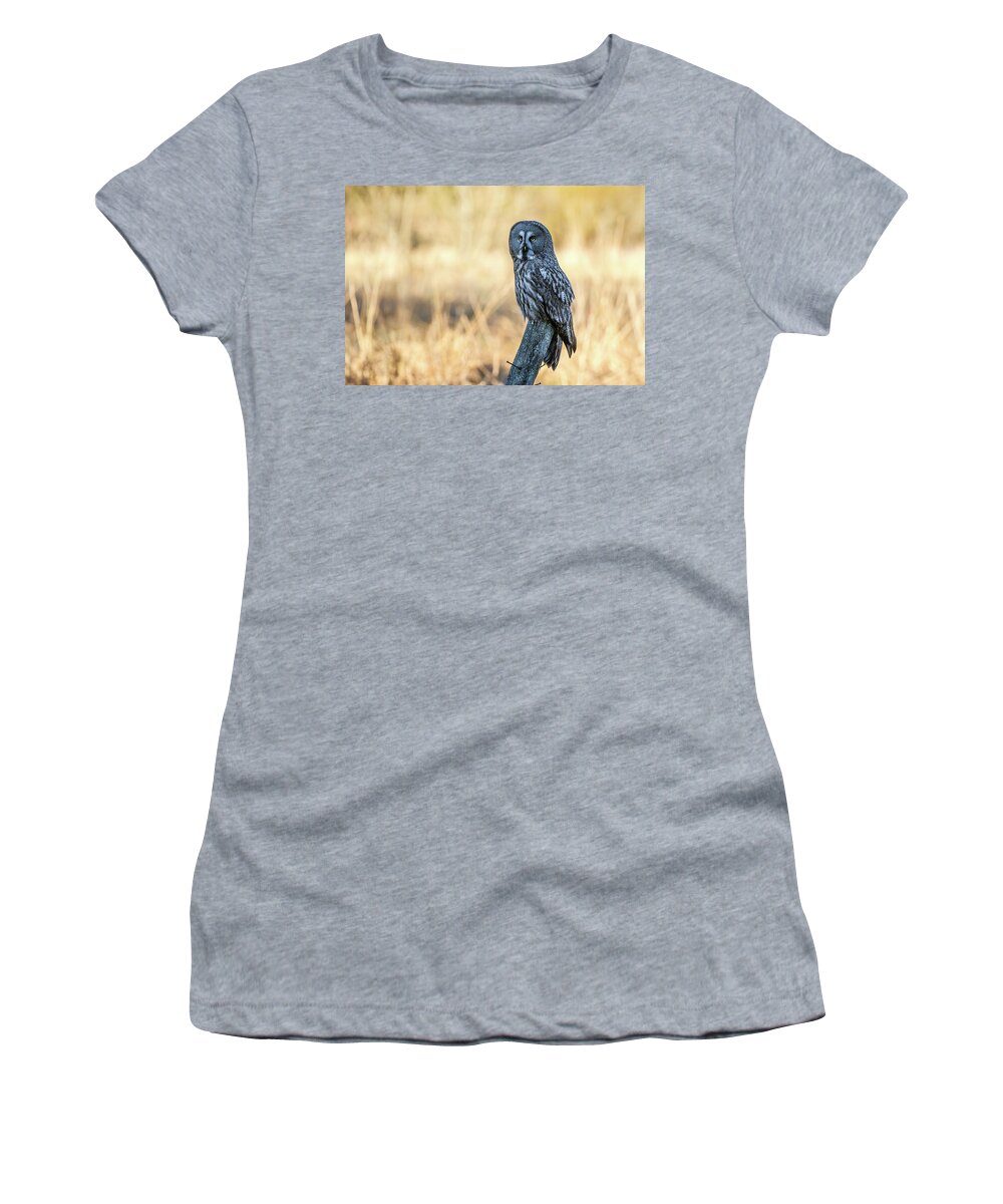 Great Grey Perching Women's T-Shirt featuring the photograph Great Grey Perching by Torbjorn Swenelius