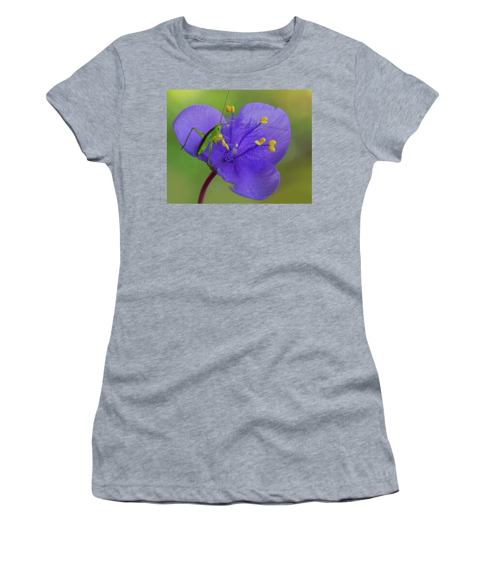 2016 Women's T-Shirt featuring the photograph Green and Purple by Robert Charity