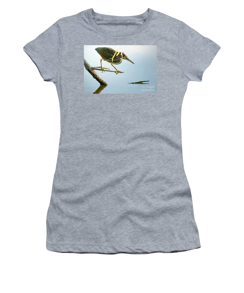 Animal Women's T-Shirt featuring the photograph Green Heron Sees Minnow by Robert Frederick