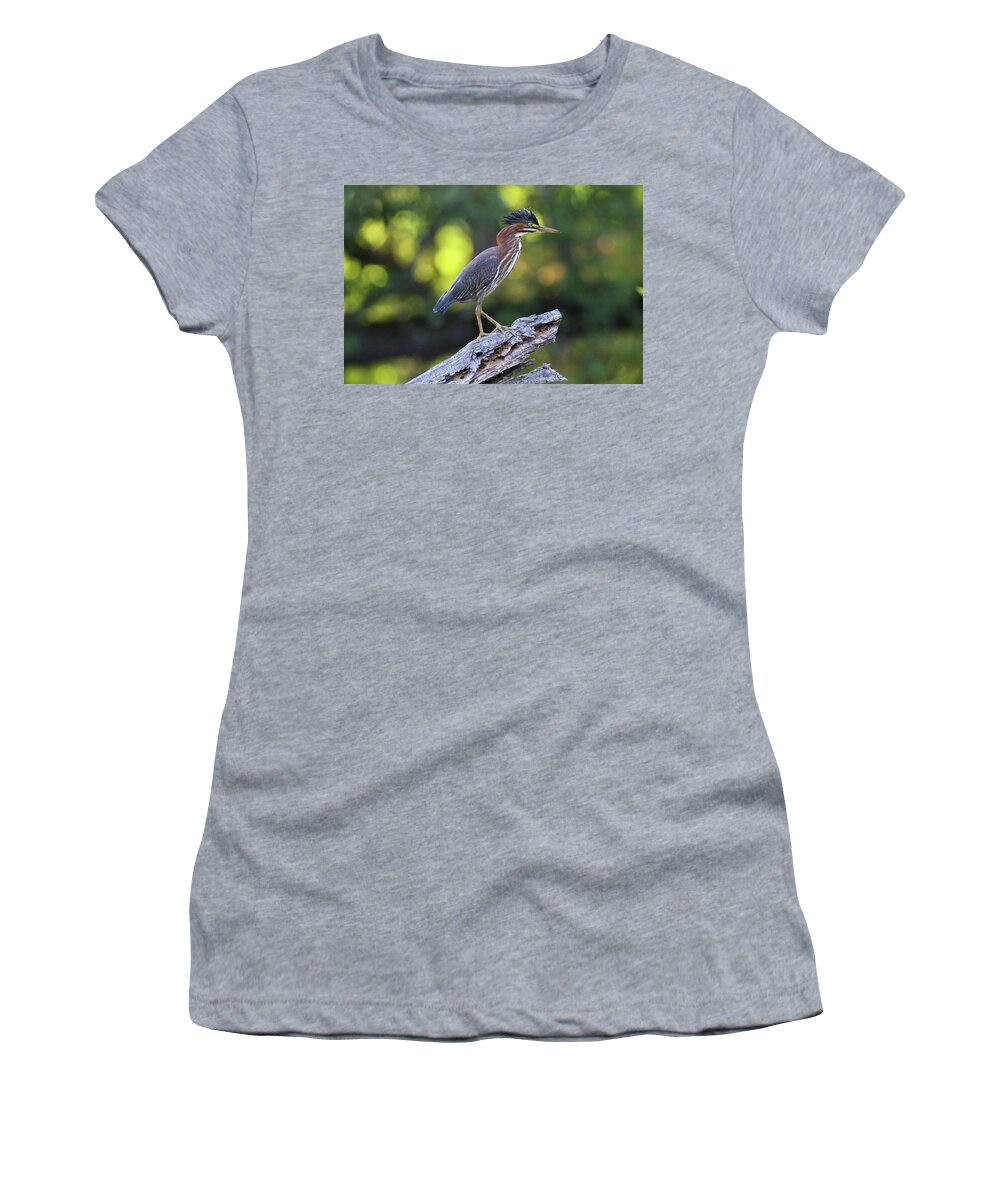 Green Heron Women's T-Shirt featuring the photograph Green Heron Stump by Brook Burling