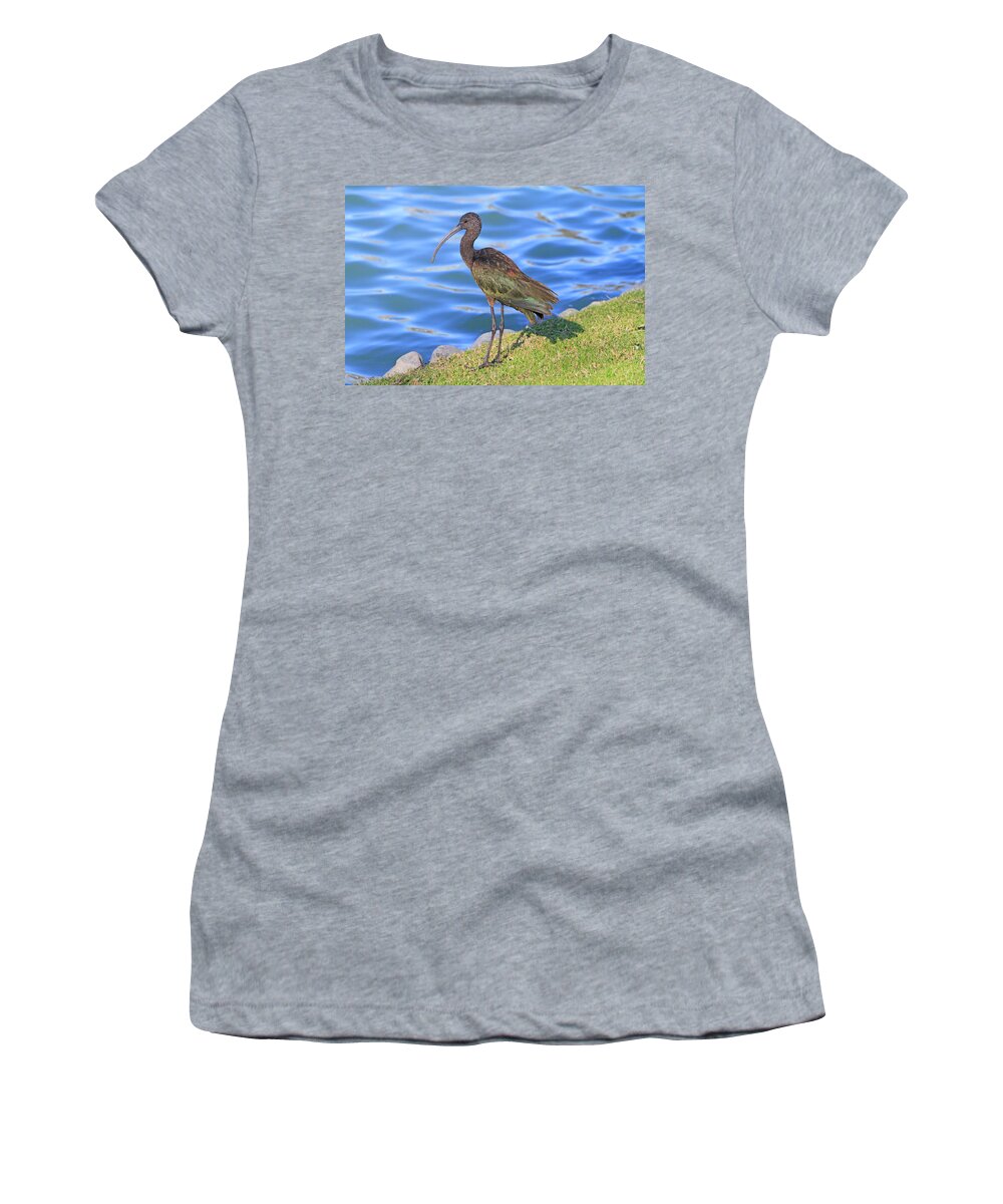 Ibis Women's T-Shirt featuring the photograph Green Ibis 9 by Shoal Hollingsworth
