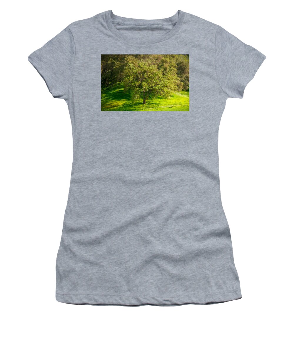 2016conniecooper-edwards Women's T-Shirt featuring the photograph Green Oak Tree and Grasses by Connie Cooper-Edwards
