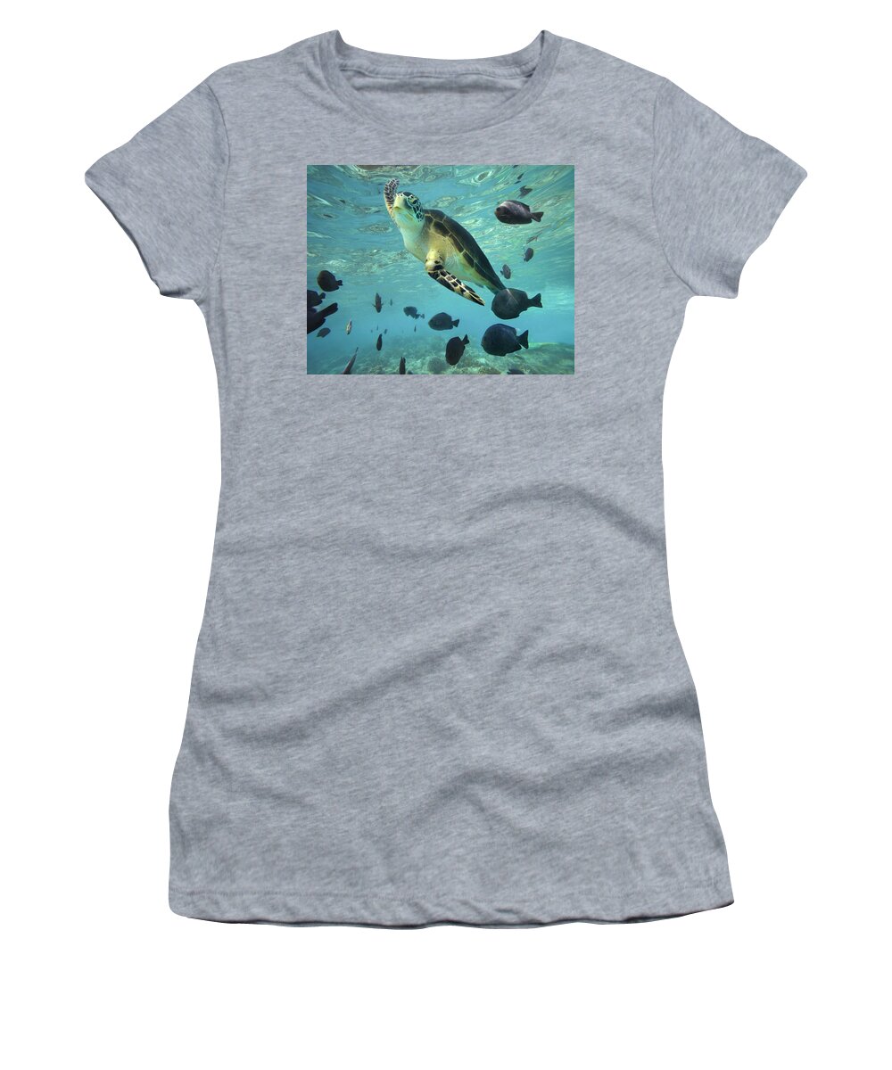00451420 Women's T-Shirt featuring the photograph Green Sea Turtle Balicasag Island by Tim Fitzharris