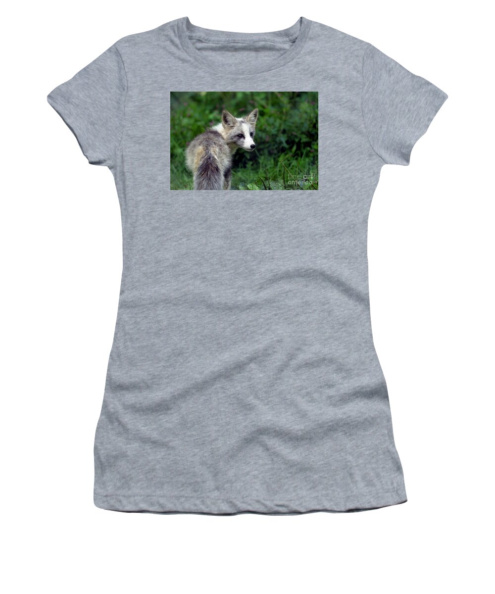 Fox Women's T-Shirt featuring the photograph Grey and white fox cub by Sam Rino