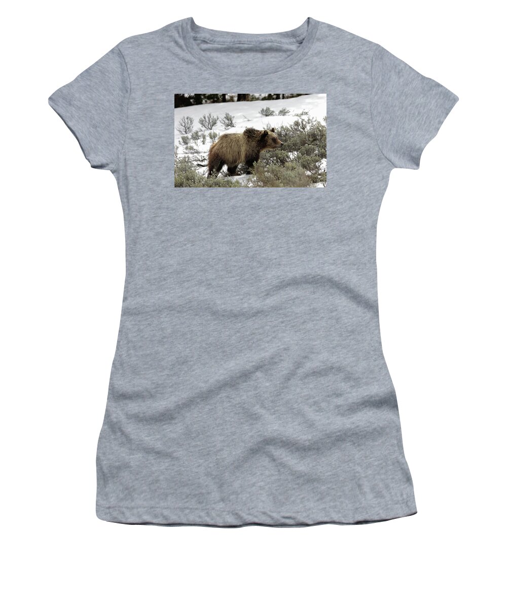Grizzly Women's T-Shirt featuring the photograph Grizzly Cub by Ronnie And Frances Howard