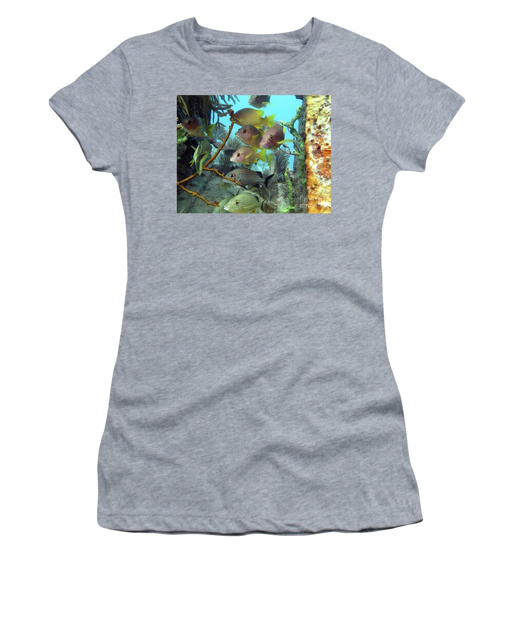 Underwater Women's T-Shirt featuring the photograph Guardians of the Benwood by Daryl Duda