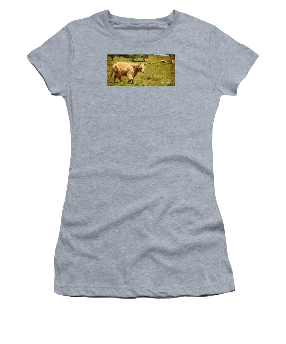 Highland Cow Women's T-Shirt featuring the photograph Hairy Highlander On A Mission by Linsey Williams