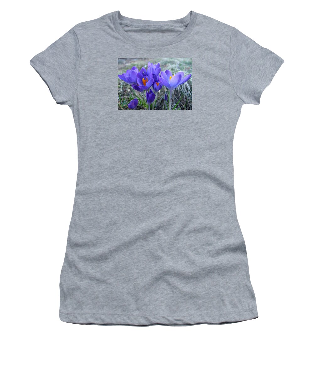Floral Women's T-Shirt featuring the photograph Harbinger of Spring by Barbara McDevitt