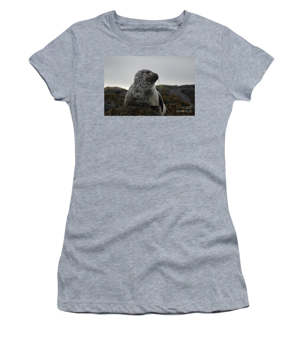 Seal Women's T-Shirt featuring the photograph Harbor Seal in Stormy Weather by DejaVu Designs