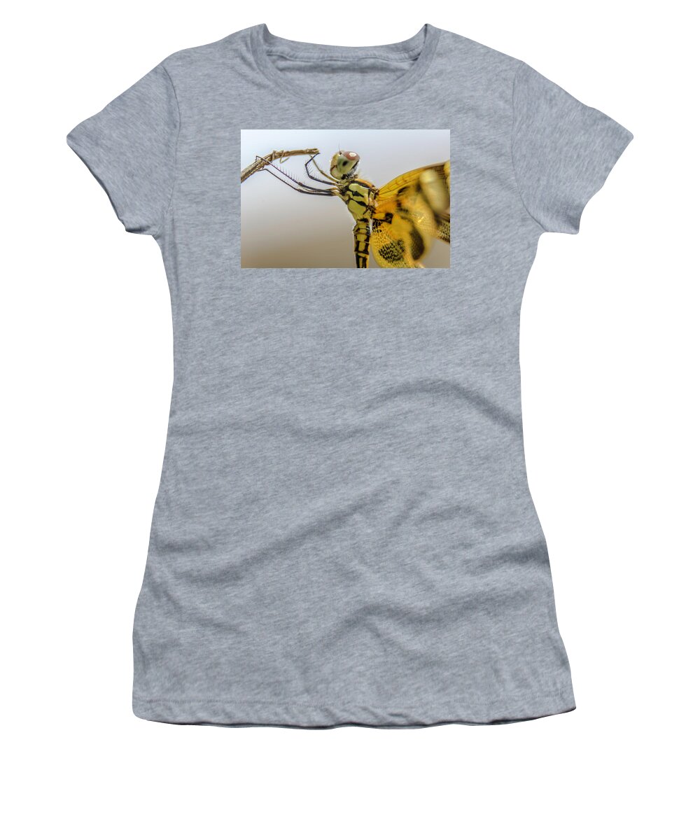 Dragonfly Women's T-Shirt featuring the photograph Hard time to hold on by Wolfgang Stocker