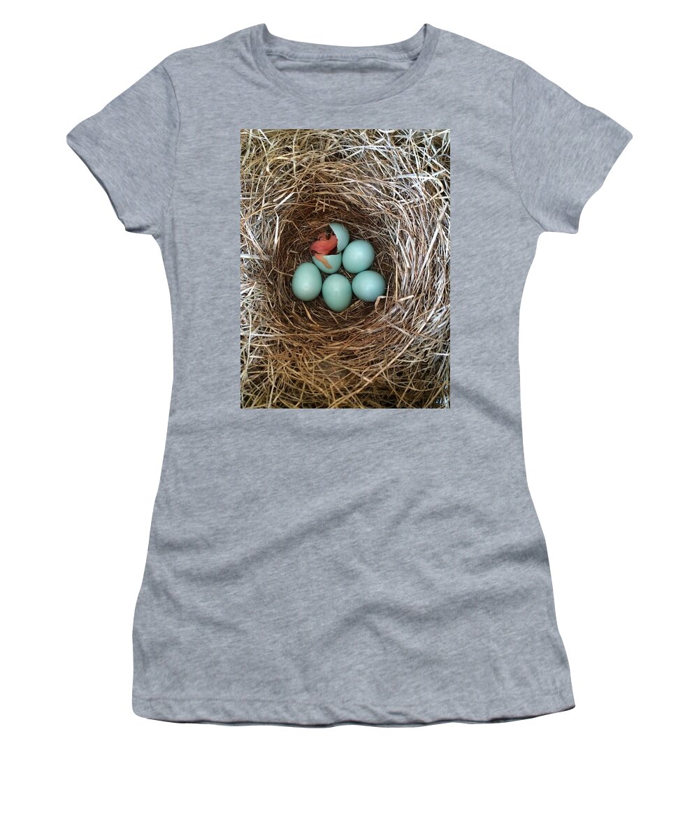 Hatch Women's T-Shirt featuring the photograph Hatched by Jackson Pearson