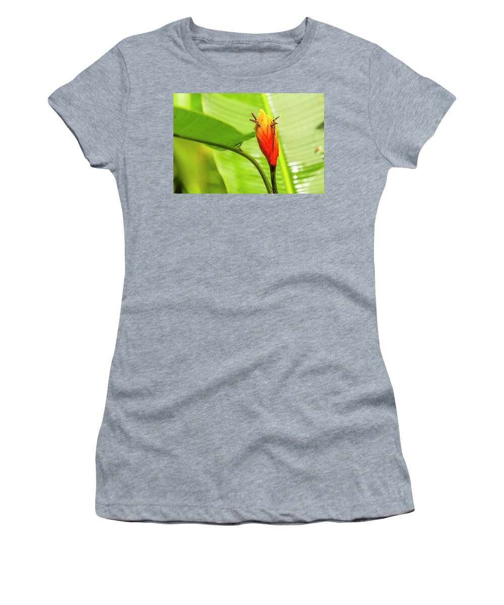 Hawaii Women's T-Shirt featuring the photograph Hawaiian Flower by Jason Hughes
