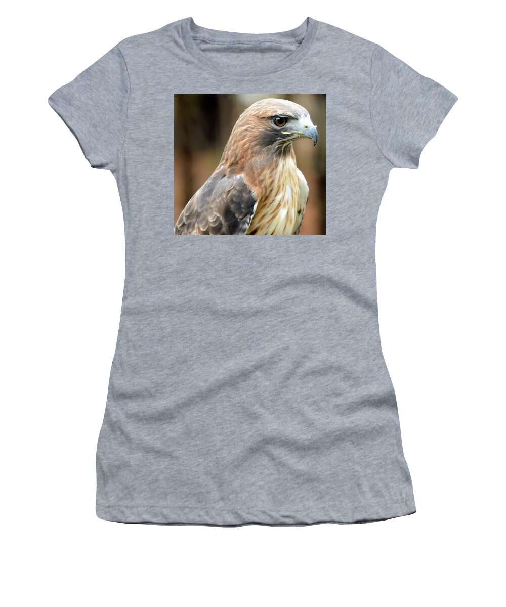 Birds Women's T-Shirt featuring the photograph Hawk by Charles HALL