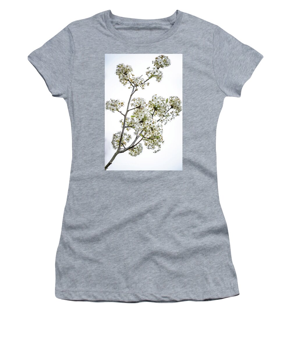 Bouquet Of Tree Blossoms Women's T-Shirt featuring the digital art Hawthorne Bouquet by Ed Stines
