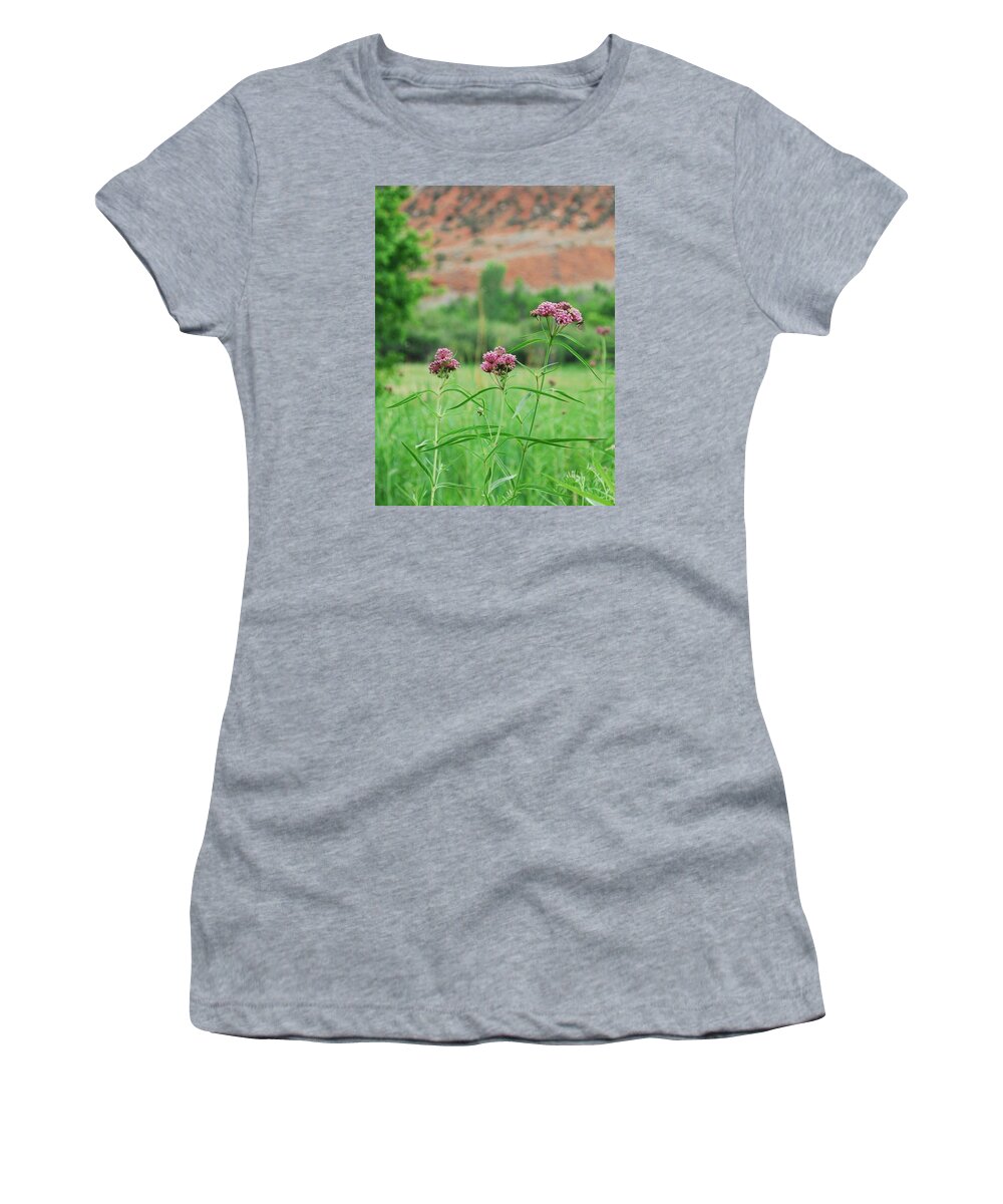 Dinosaur National Monument Women's T-Shirt featuring the photograph Heat Retreat by Brad Hodges