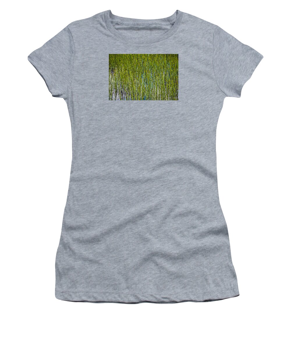 Blade Women's T-Shirt featuring the photograph Heather Lake Grass by Pelo Blanco Photo