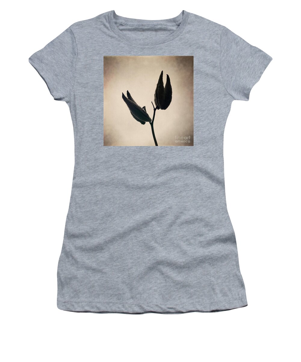 Milkweed Women's T-Shirt featuring the photograph Held High by RicharD Murphy