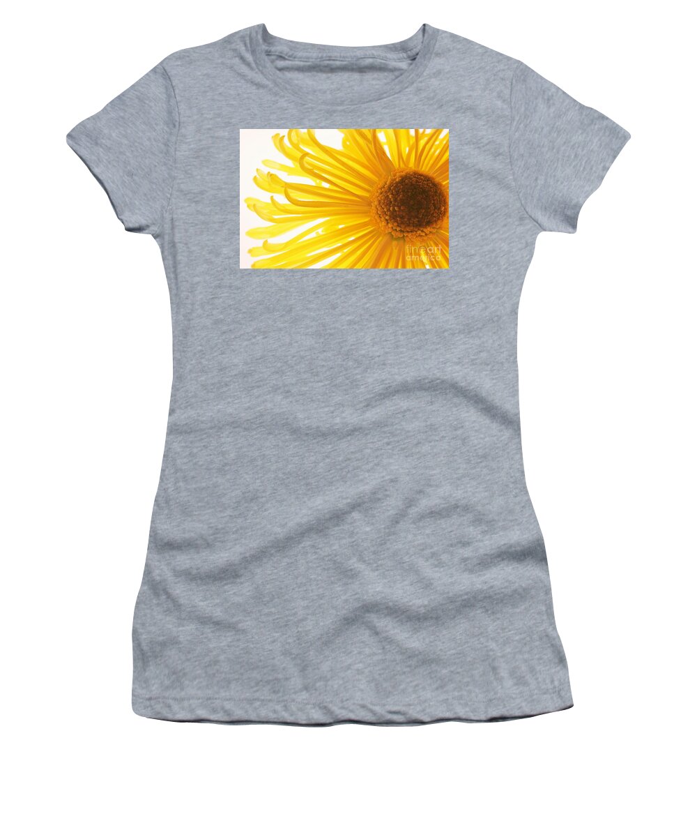 Daisy Women's T-Shirt featuring the photograph Hello Sunshine by Julie Lueders 