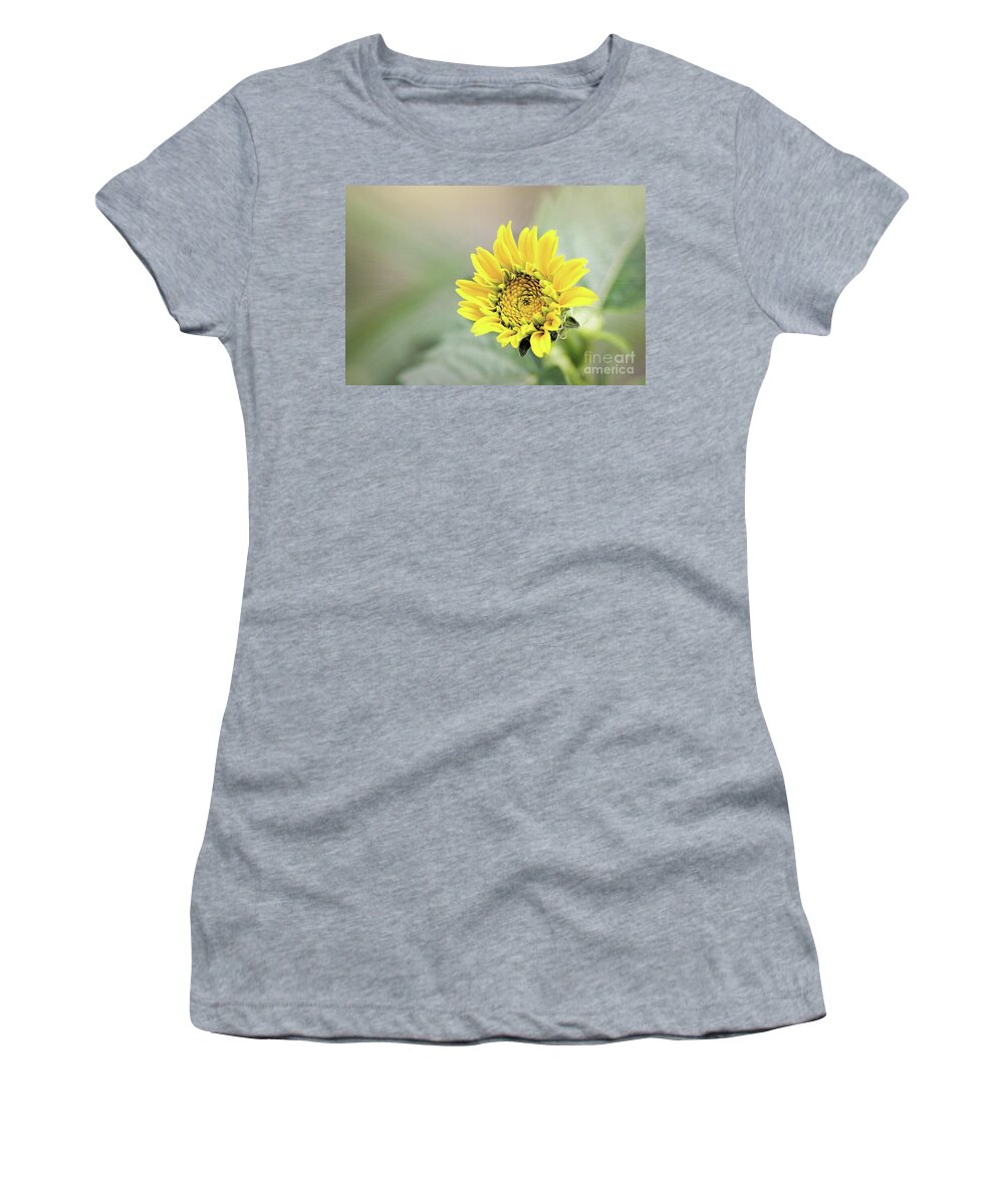 Flower Women's T-Shirt featuring the photograph Hello Sunshine by Sharon McConnell