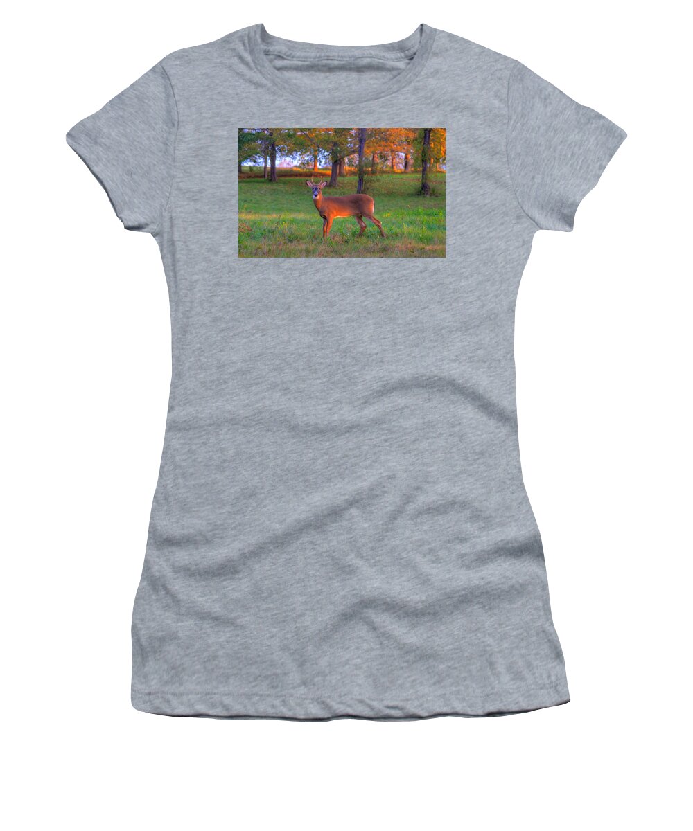  Women's T-Shirt featuring the photograph Here And Gone by David Henningsen