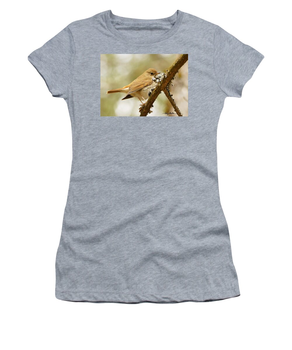 Bird Women's T-Shirt featuring the photograph Hermit Thrush by Harry Moulton