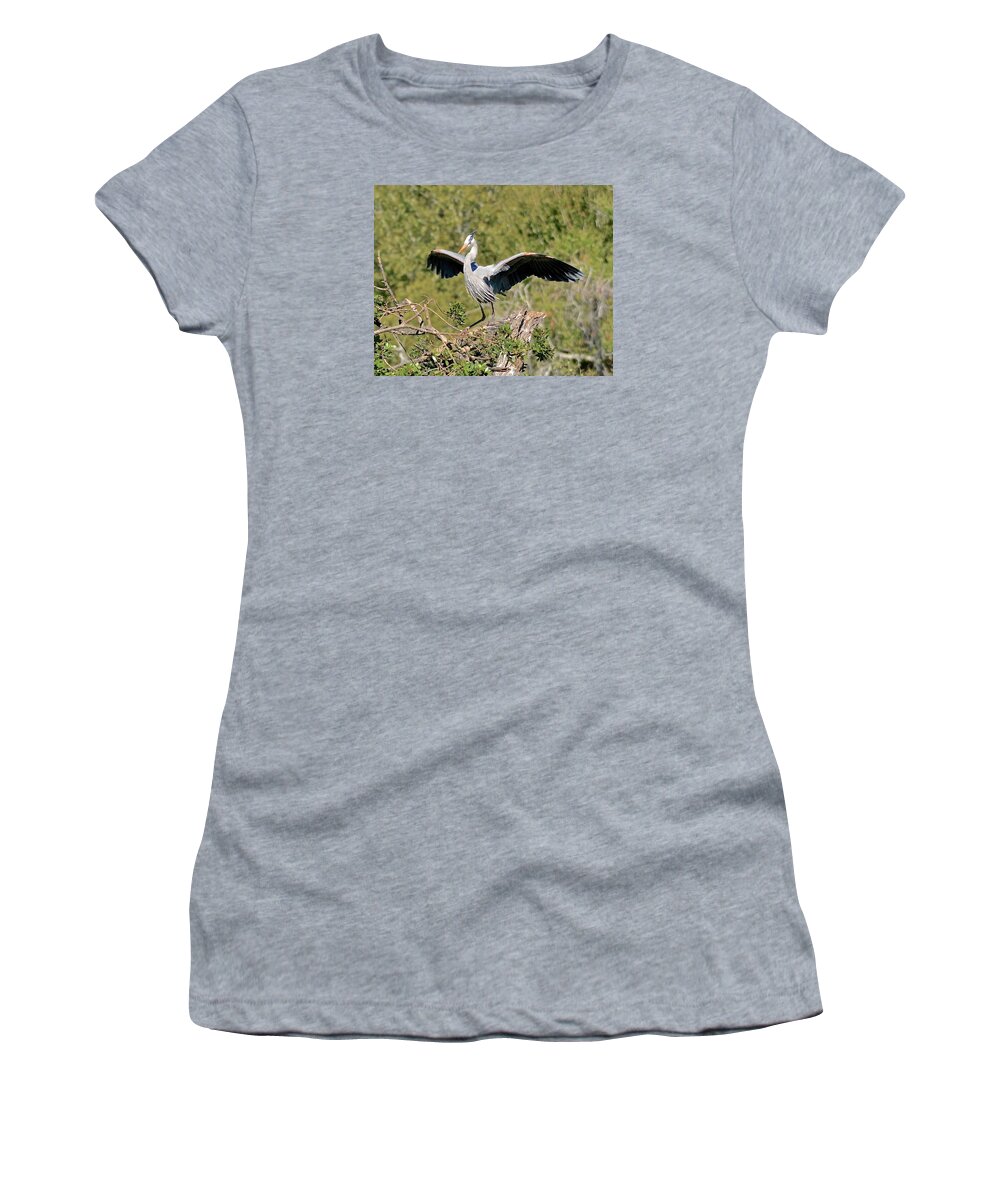 Heron Women's T-Shirt featuring the photograph Hey Look Me Over by Carol Bradley