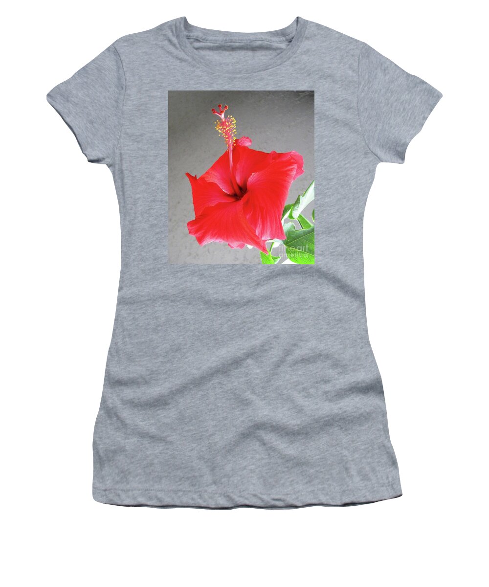 Hibiscus Women's T-Shirt featuring the photograph Hibiscus #2 by Cindy Schneider