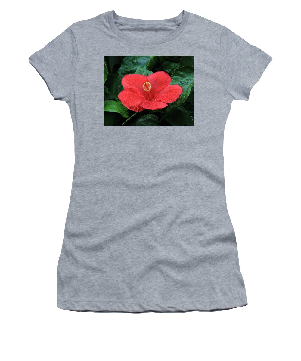 Hibiscus Women's T-Shirt featuring the photograph Hibiscus After Rain by PJQandFriends Photography