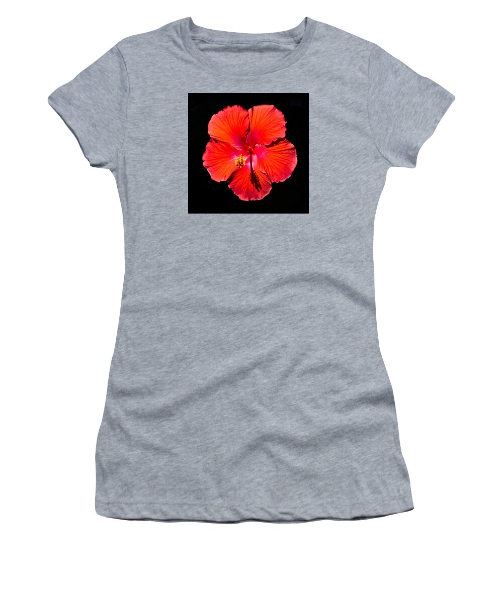 Hibiscus Flower In Full Bloom Women's T-Shirt featuring the photograph Hibiscus flower by Kenneth Cole