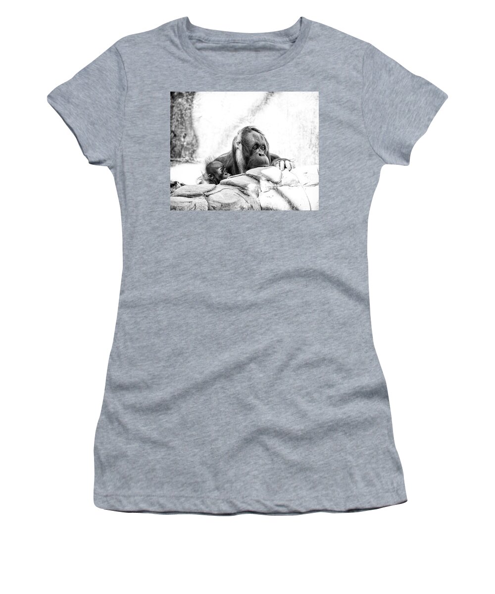 Crystal Yingling Women's T-Shirt featuring the photograph Hiding by Ghostwinds Photography