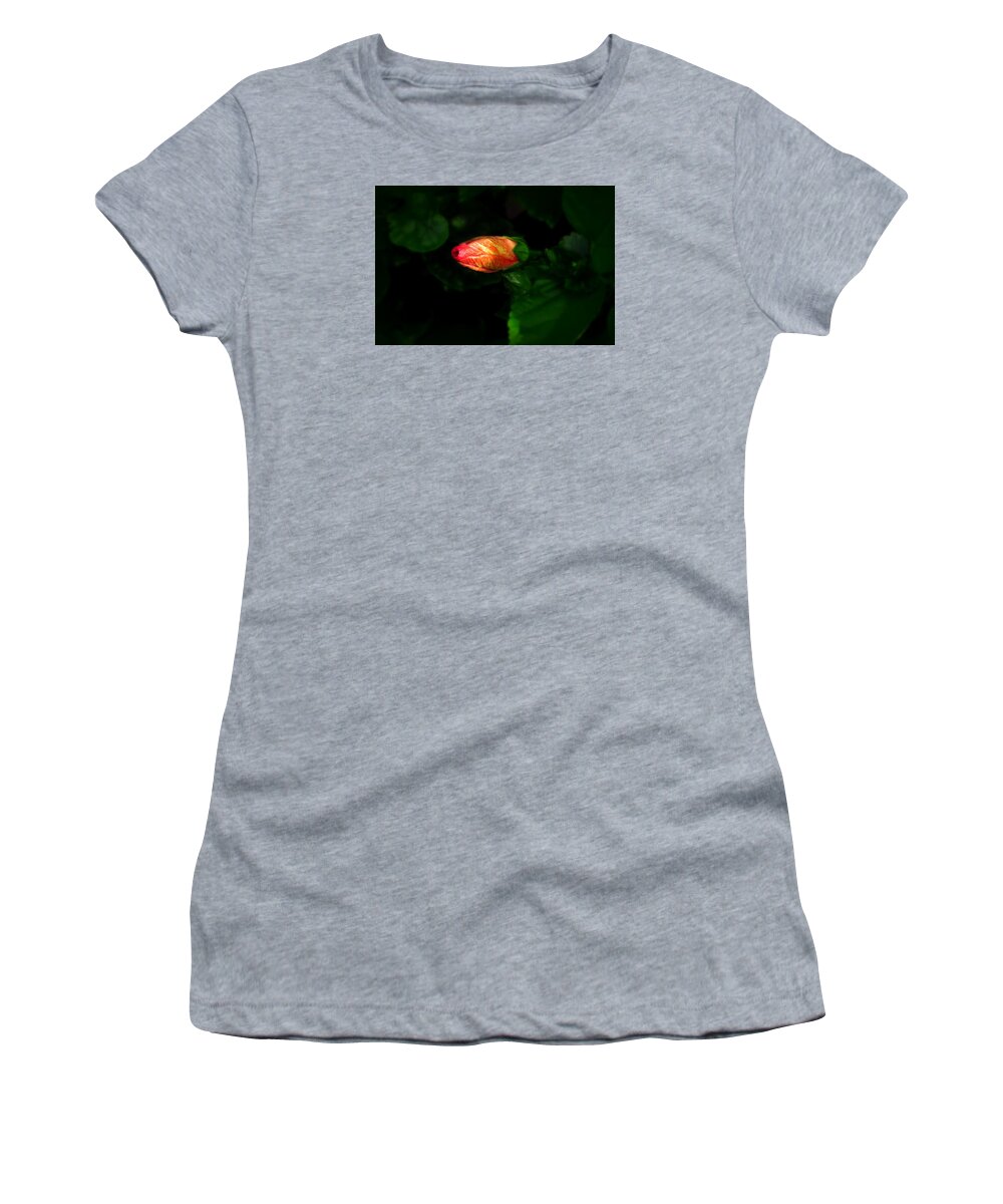 Flower Women's T-Shirt featuring the photograph Hiding Hibiscus by Wanderbird Photographi LLC