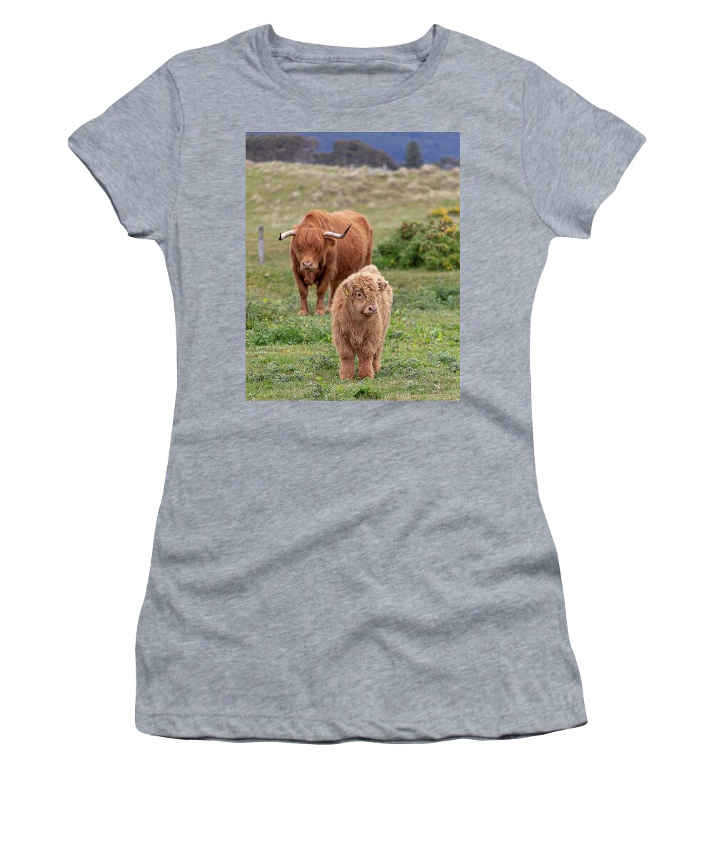 Animal Women's T-Shirt featuring the photograph Highland Calf and Mom by Teresa Wilson
