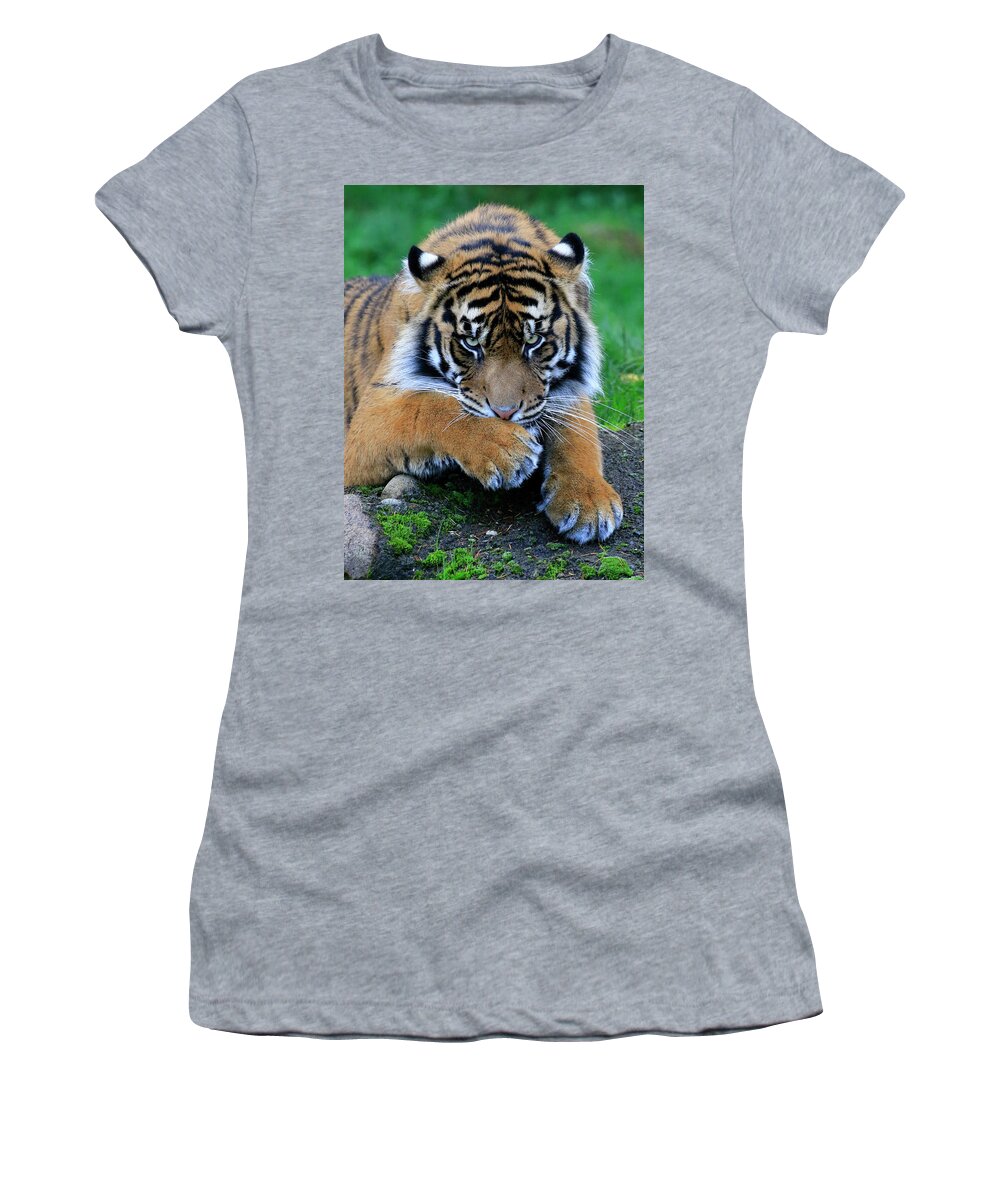 Tiger Women's T-Shirt featuring the photograph Hmmm by Steve McKinzie