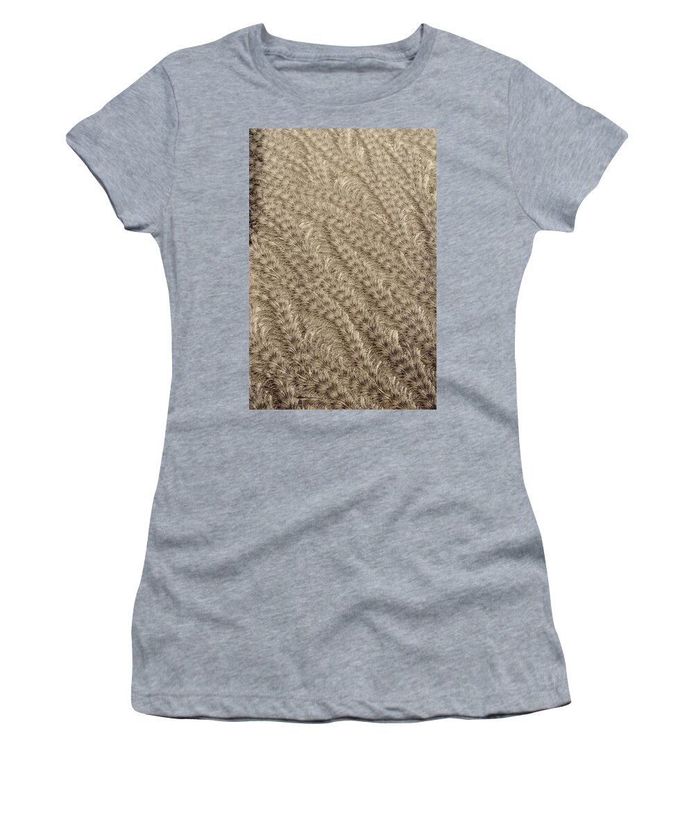 Hoar Frost Women's T-Shirt featuring the photograph Hoarfrost Grains in Sepia by Kim Bemis
