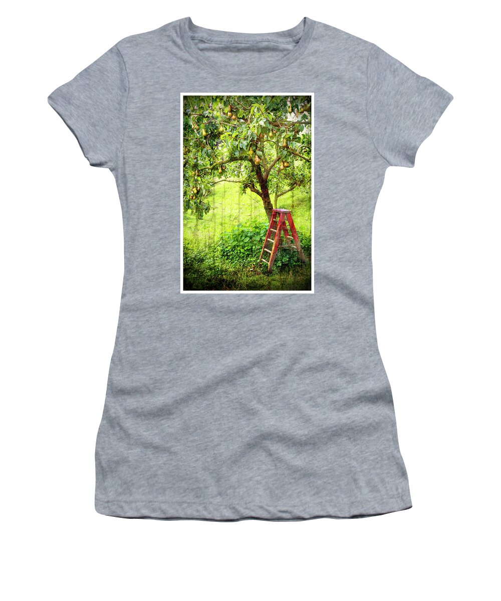 Hobbits Women's T-Shirt featuring the photograph Hobbit Pear Tree by Kathryn McBride