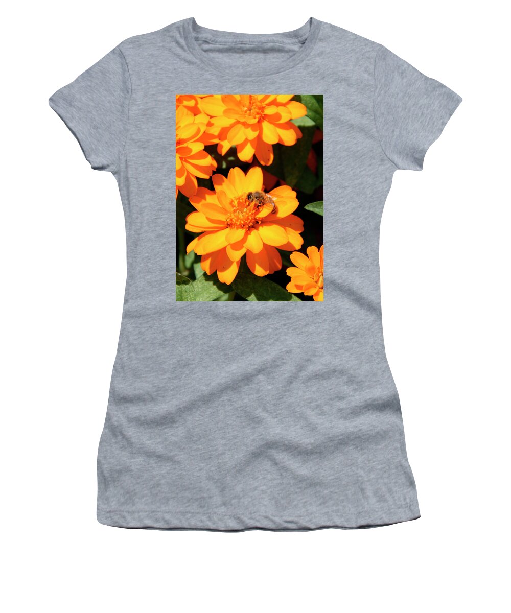 Bee Women's T-Shirt featuring the photograph Honey Bee on Yellow Flower by George Jones