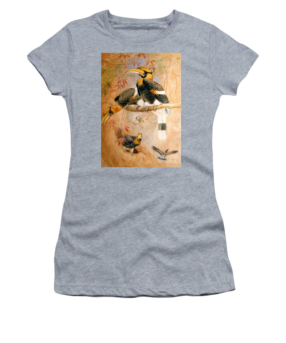 Birds Women's T-Shirt featuring the painting Hornbill by Joseph Wolf