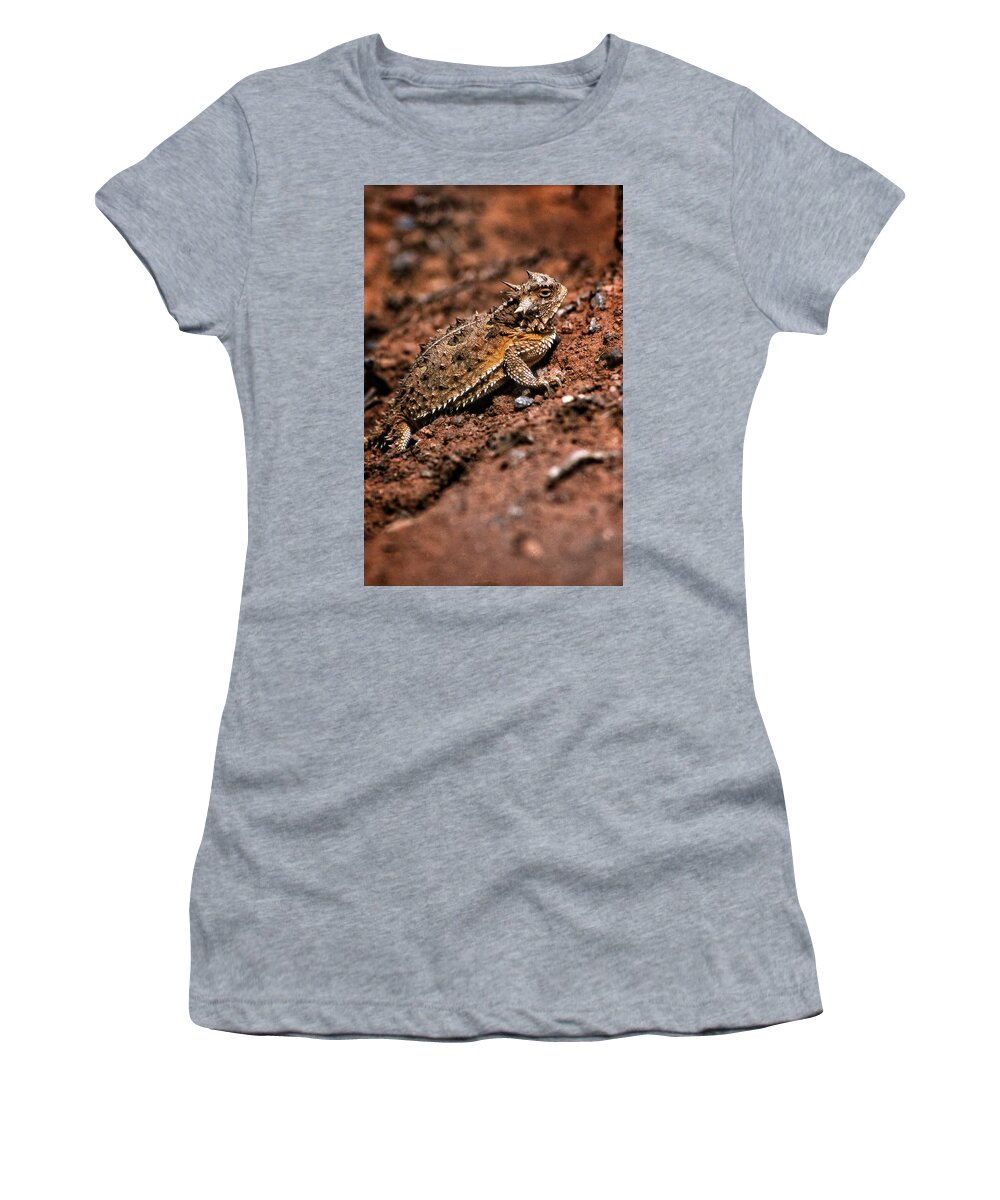 Horned Toad Women's T-Shirt featuring the photograph Horned Toad by Buck Buchanan