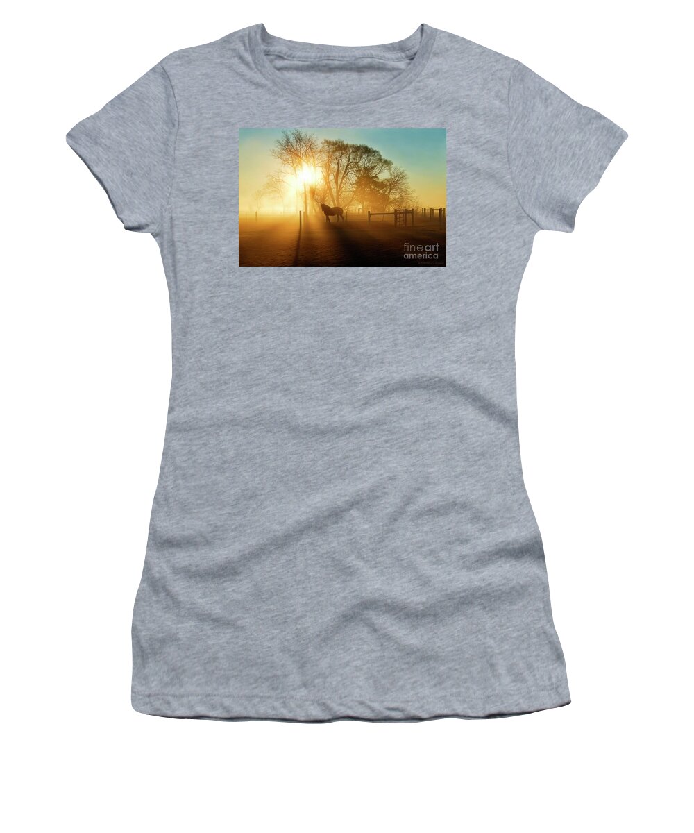 Horse Women's T-Shirt featuring the photograph Horse in the Fog at Dawn by David Arment