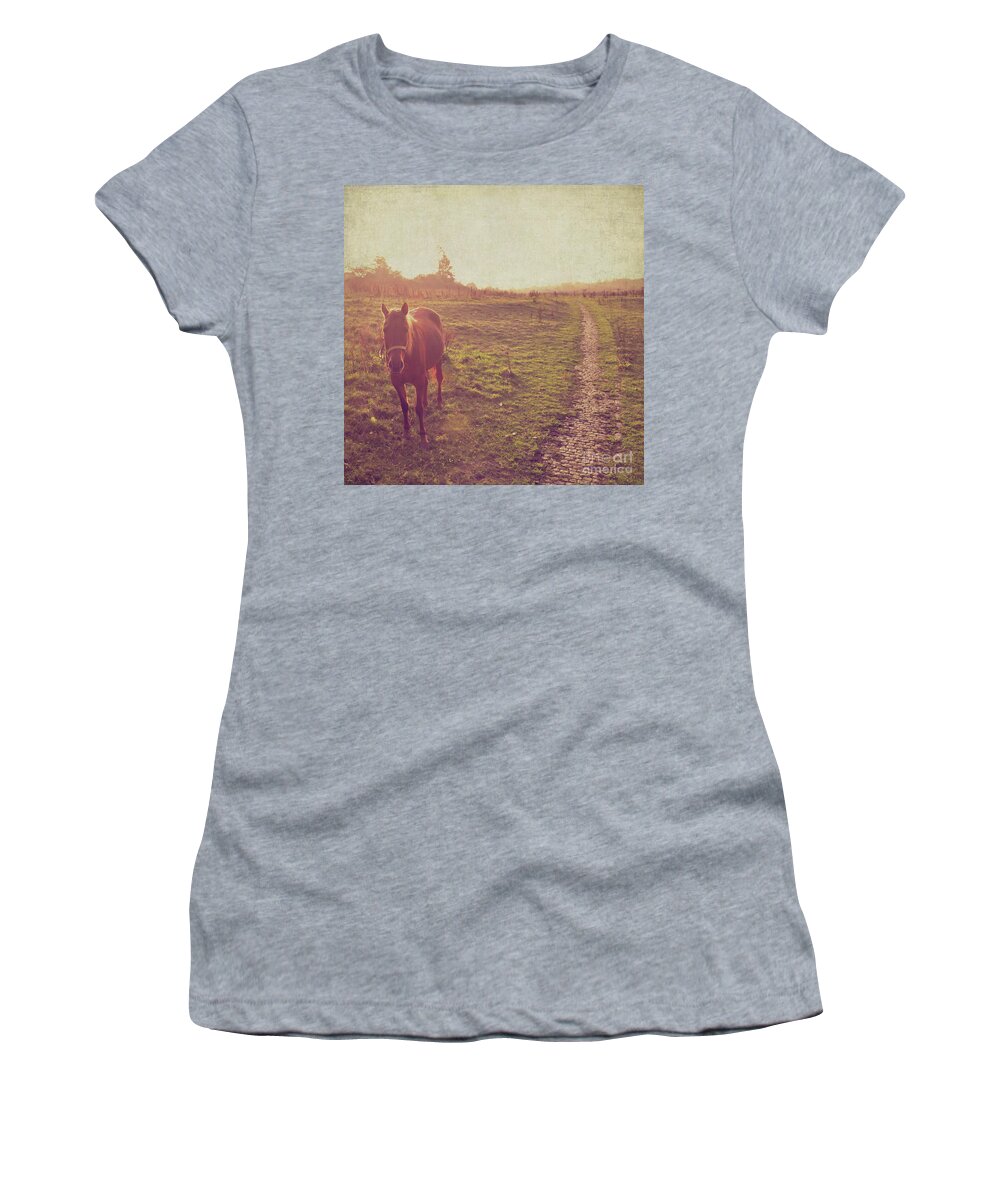 Horse Women's T-Shirt featuring the photograph Horse by Lyn Randle