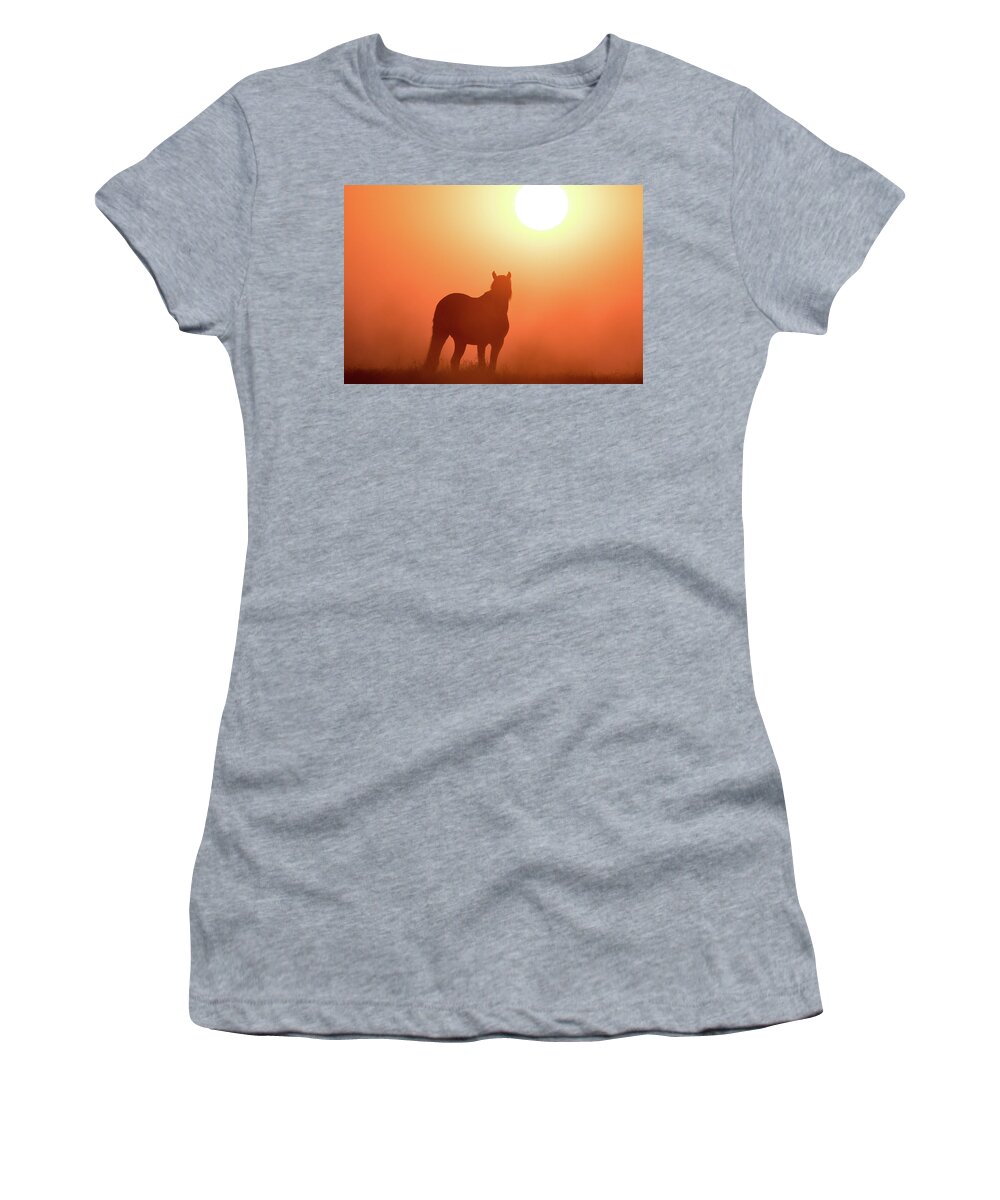 Silhouette Women's T-Shirt featuring the photograph Horse Silhouette by Wesley Aston