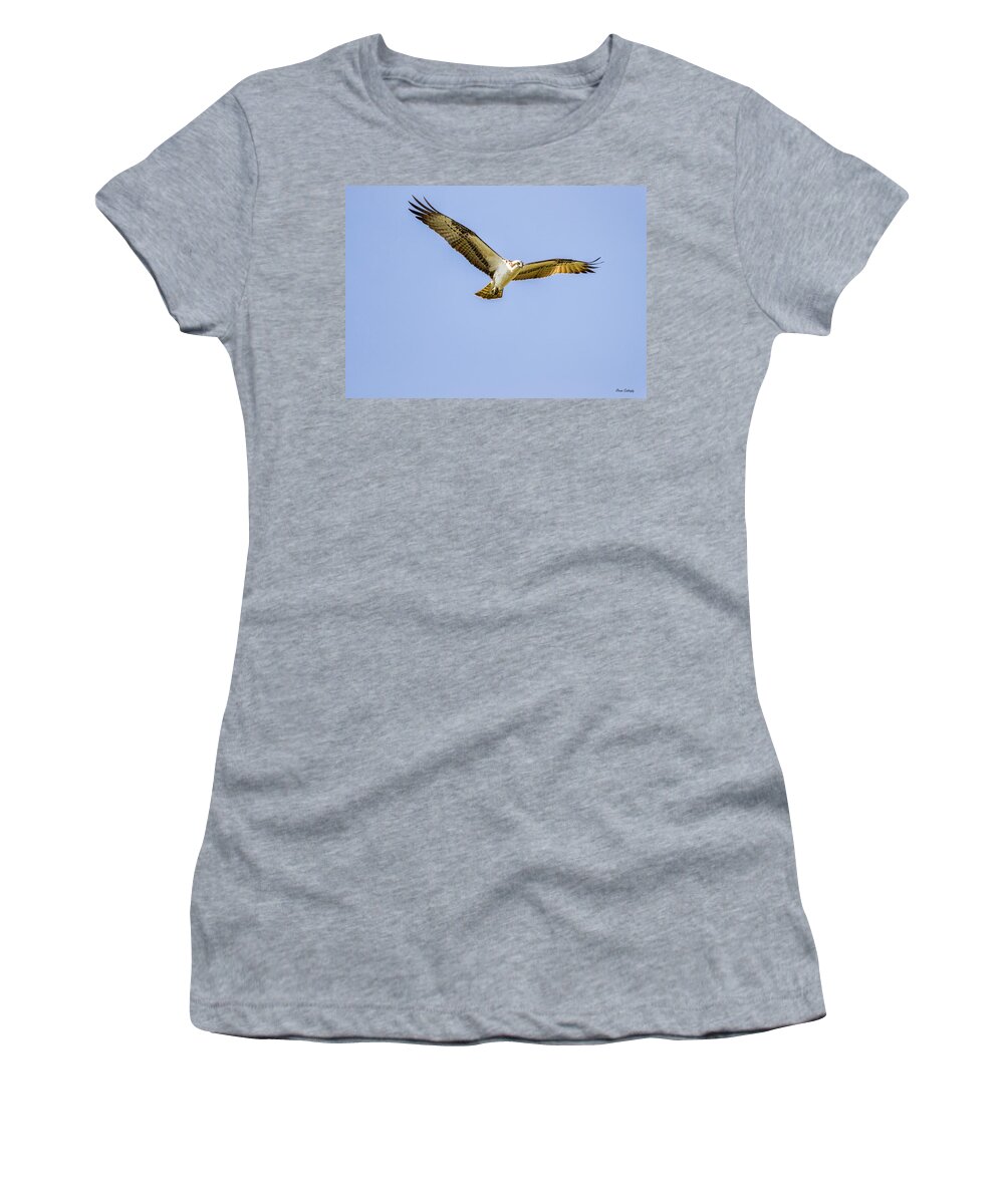 Raptor Women's T-Shirt featuring the photograph Hovering Raptor by Fran Gallogly