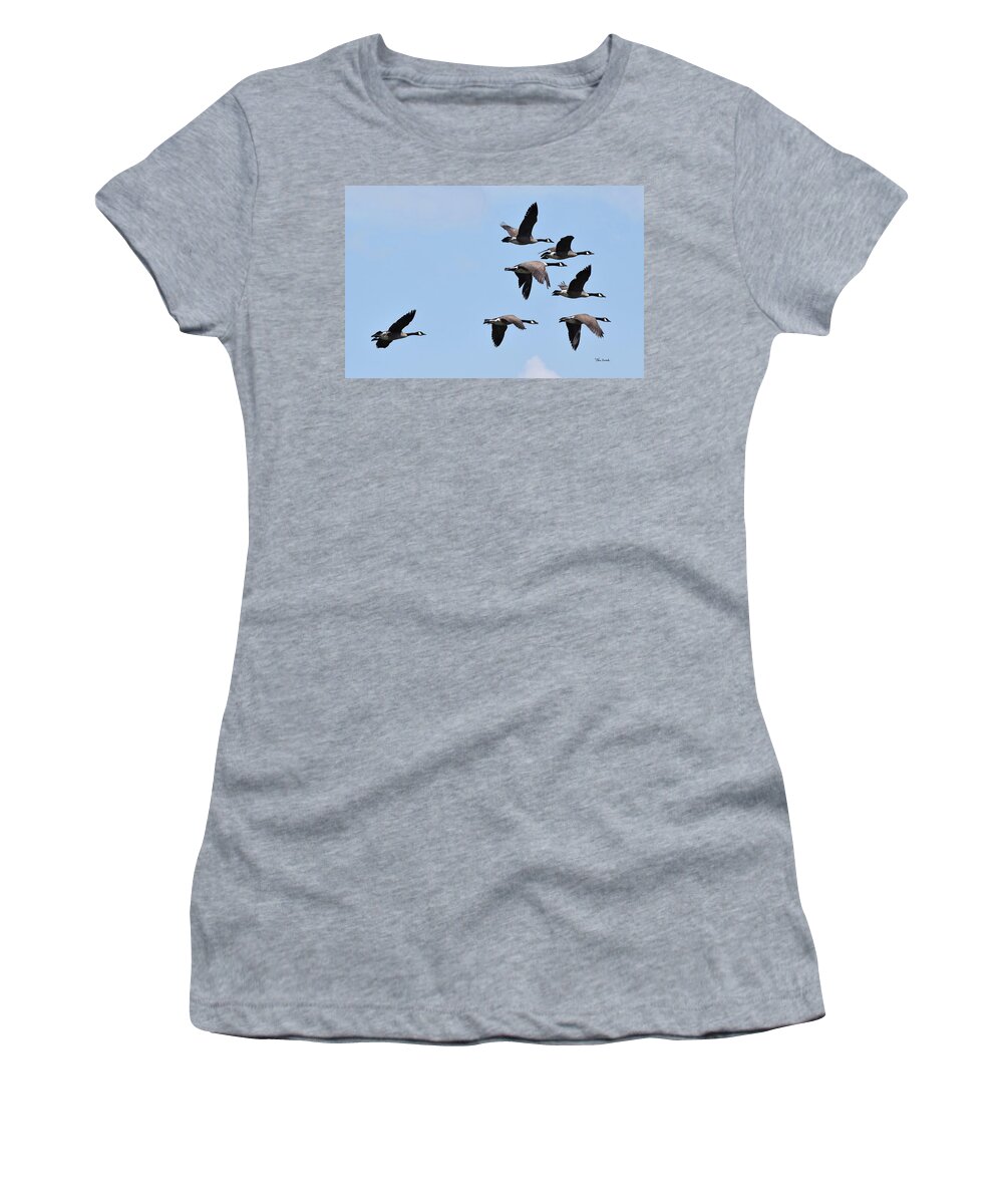 Canadian Geese Women's T-Shirt featuring the photograph How high does the wild goose fly? by Chris Busch