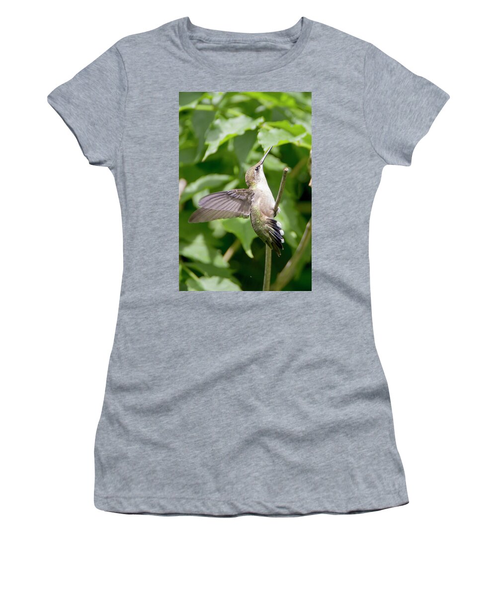 Bird Women's T-Shirt featuring the photograph Hummingbird 36 by David Stasiak
