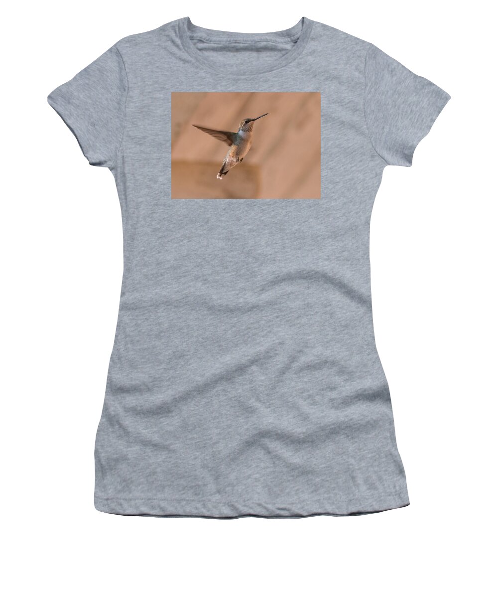 Hummingbird Women's T-Shirt featuring the photograph Hummingbird In Flight by Holden The Moment