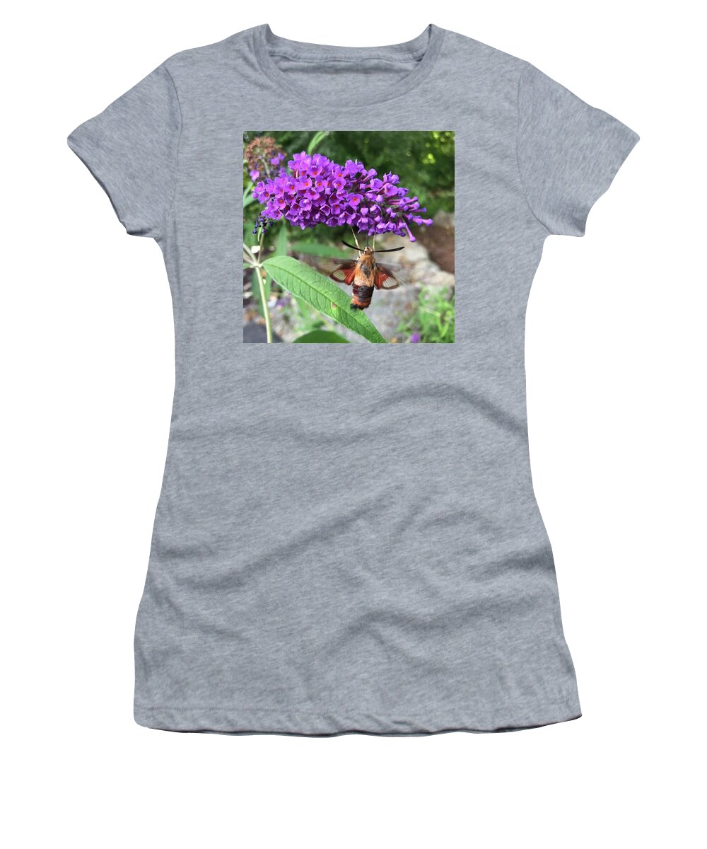 Hummingbird Women's T-Shirt featuring the photograph Hummingbird Moth by Jason Nicholas