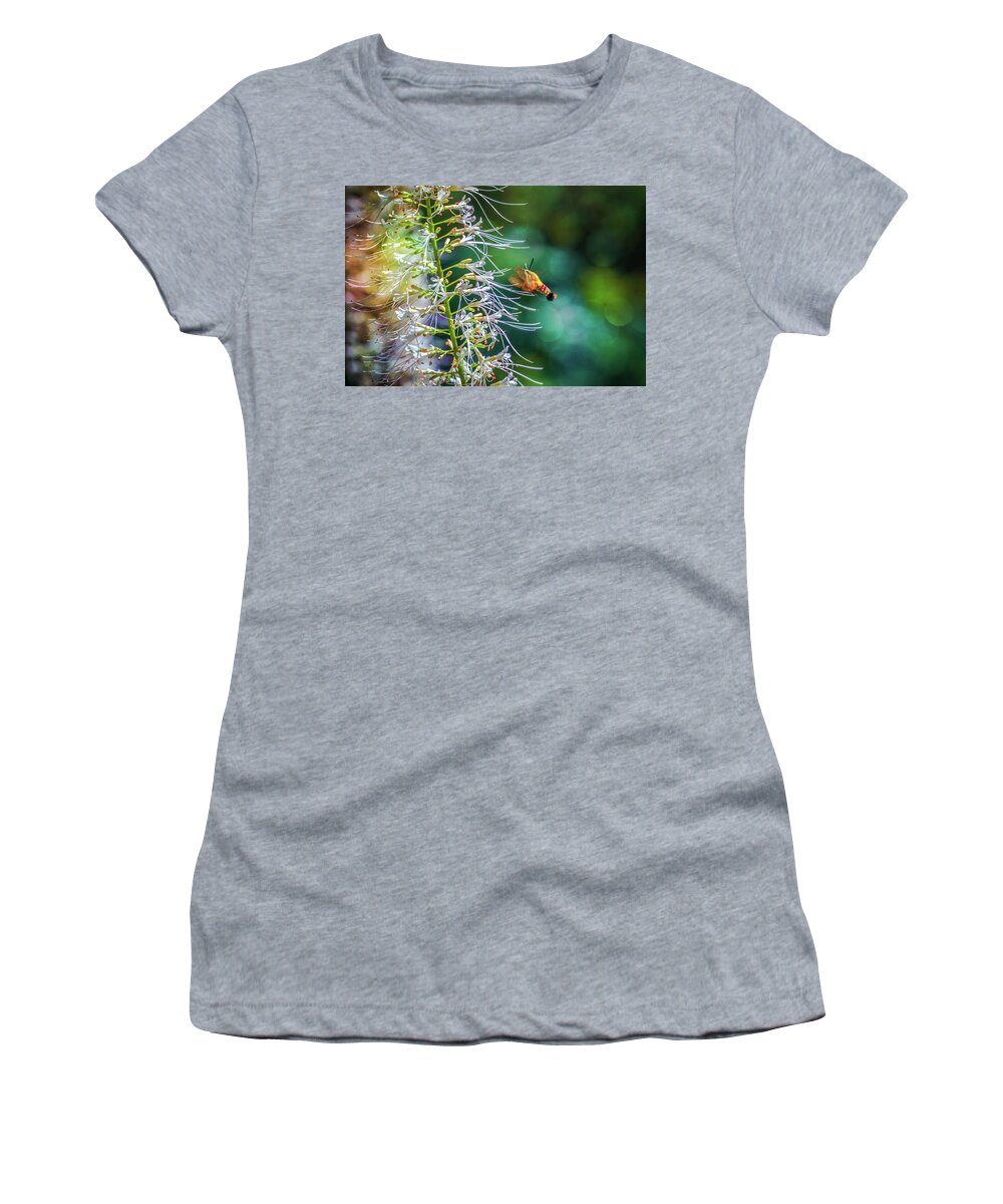 Hummingbird Moth Women's T-Shirt featuring the photograph Hummingbird Moth by Lilia S