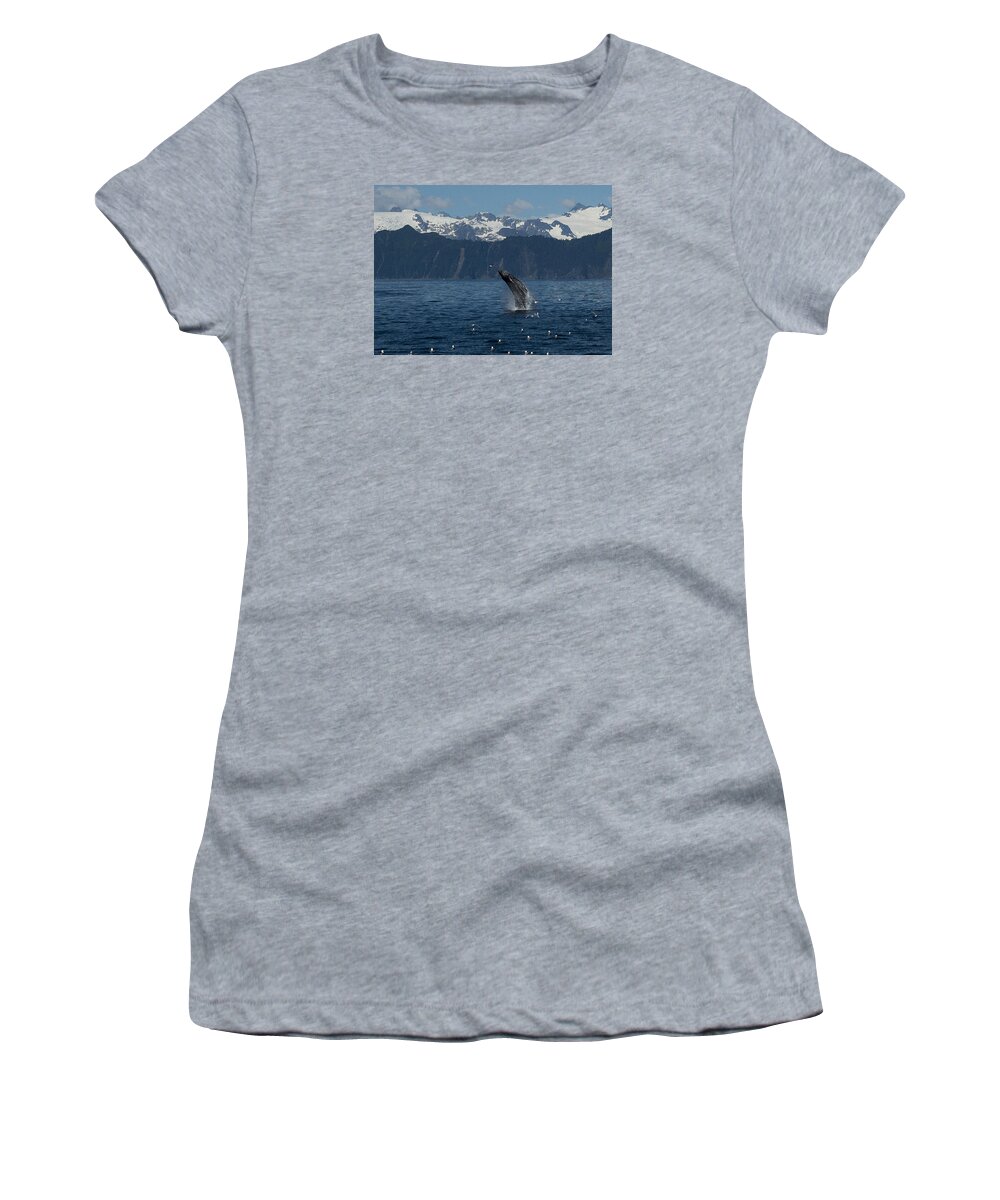 Alaska Women's T-Shirt featuring the photograph Humpback Whale Breach Seward by Ian Johnson
