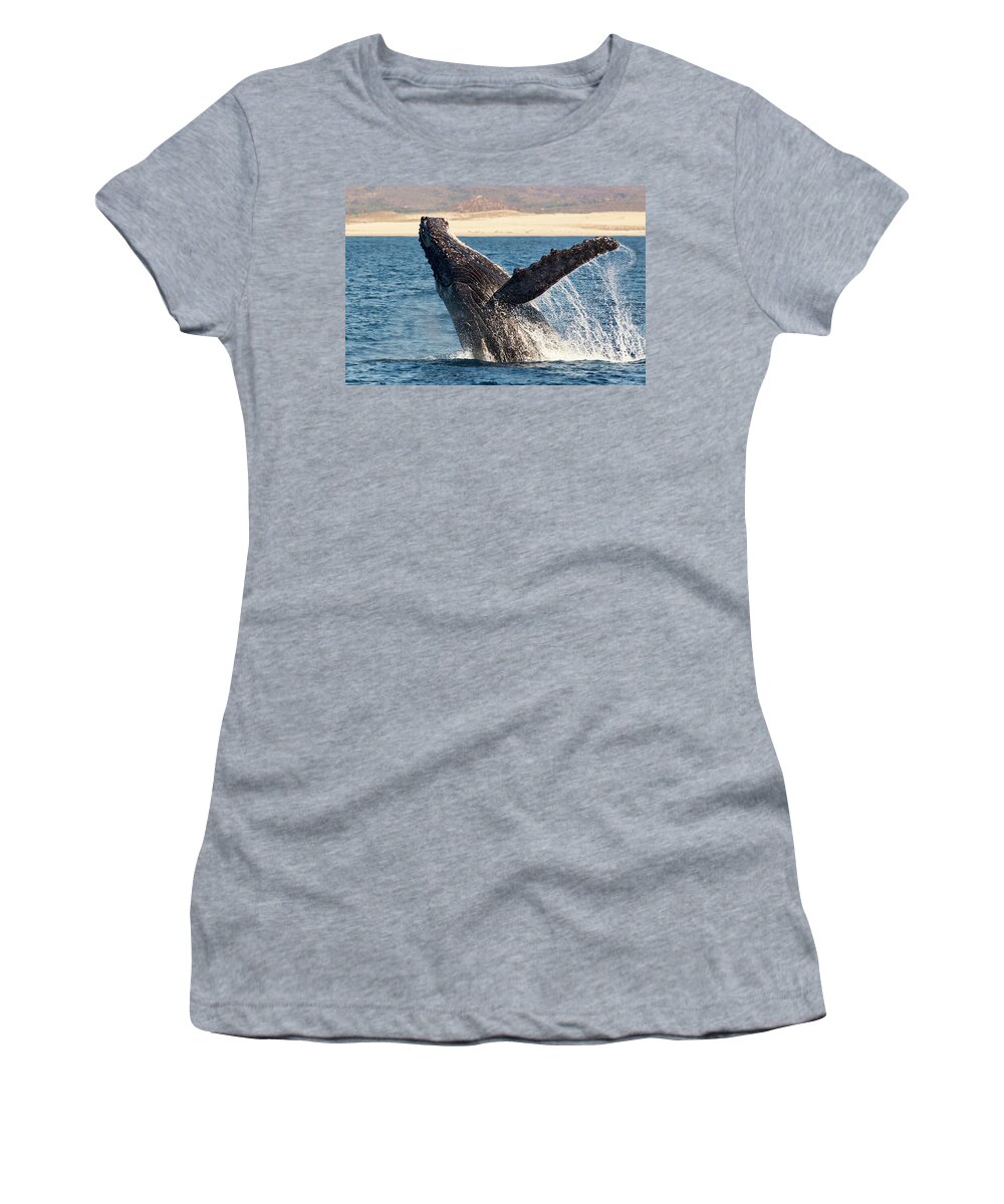 Whale Humpback Whale Women's T-Shirt featuring the photograph Humpback Whale Breaching by Mark Harrington